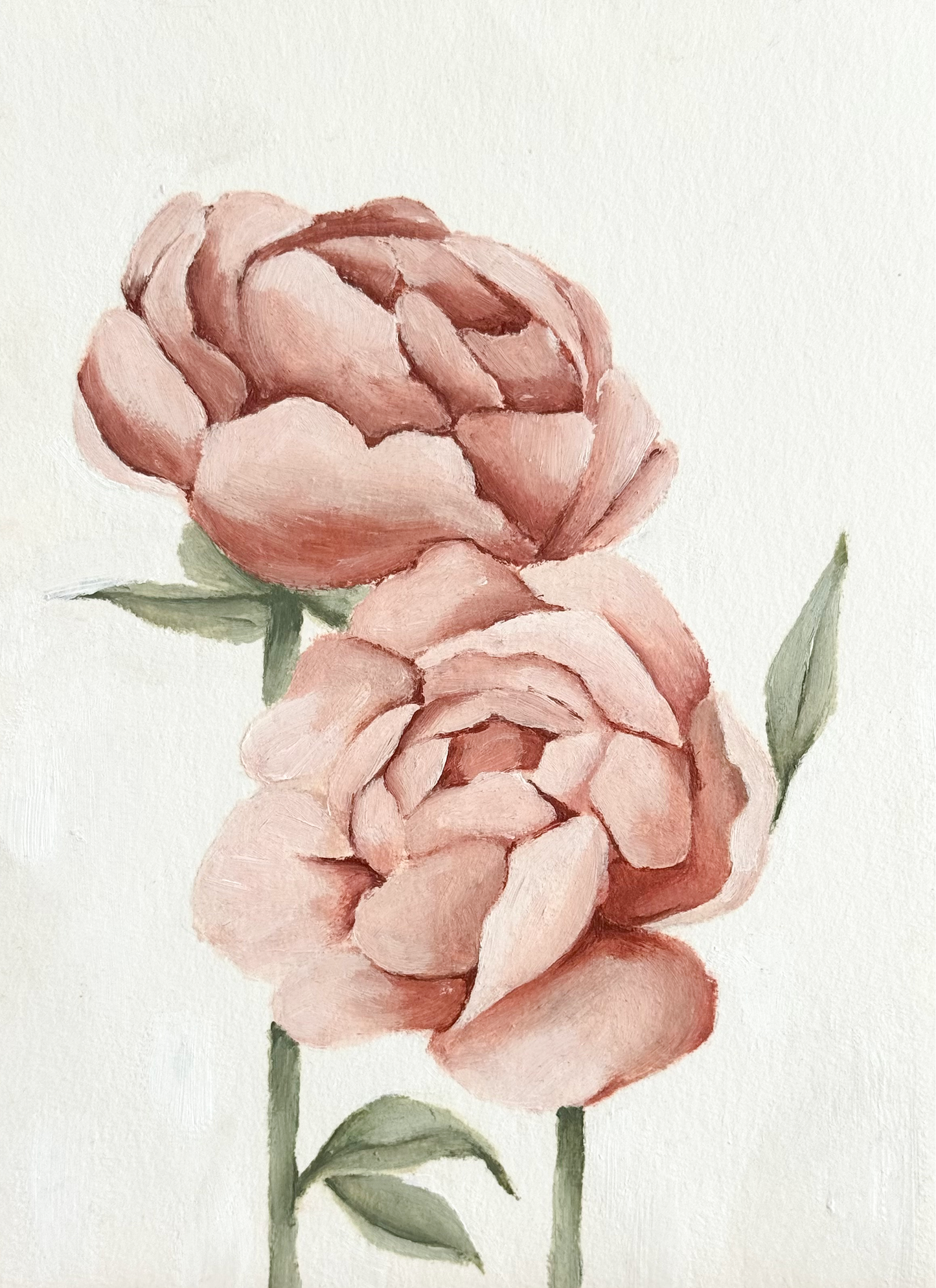 Twee pioenrozen